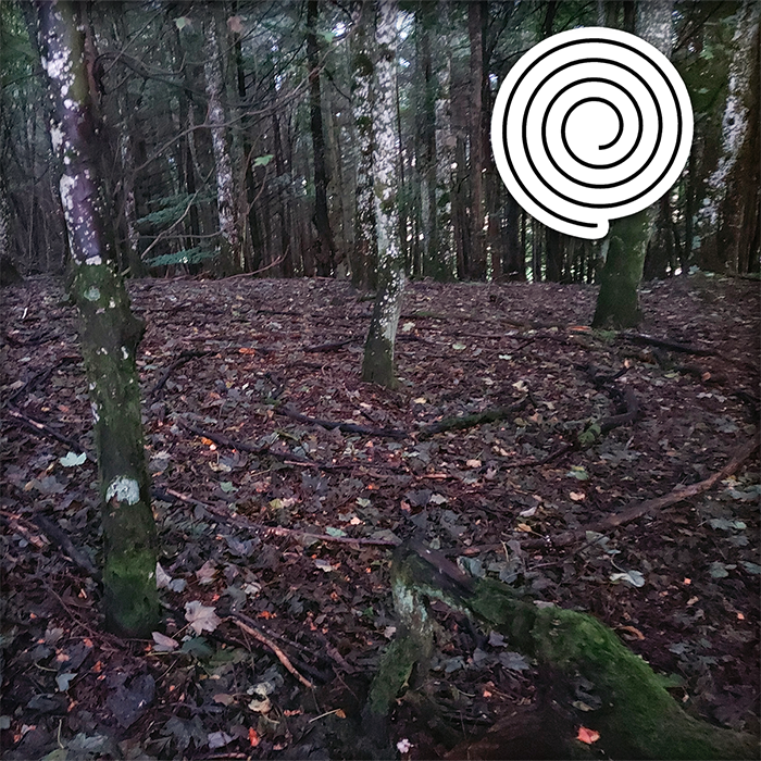 Picture of Twig Labyrinth
